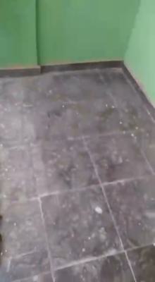 Specios Newly Renovated Mini-flat, Alhaji Abass Street, Ogudu, Lagos, Mini Flat (room and Parlour) for Rent