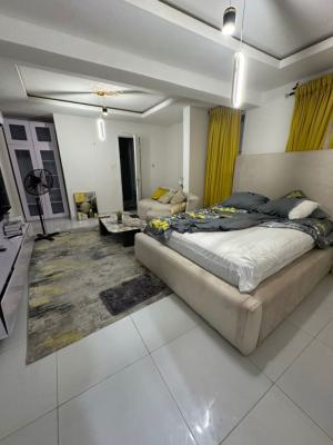 Lovely Serviced 1 Bedroom Apartment with 24hrs Power,, Lekki Phase 1, Lekki, Lagos, Mini Flat (room and Parlour) for Rent