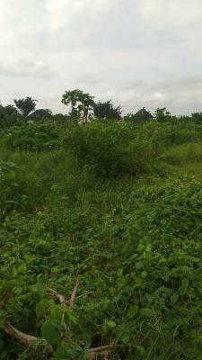92,000sqm (23 Acres) Land with C of O, Ijegun, Satellite Town, Ojo, Lagos, Mixed-use Land for Sale