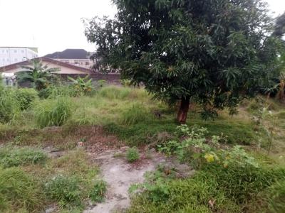Well Located Two Plots of Land with C of O in an Estate, Woji, Port Harcourt, Rivers, Residential Land for Sale