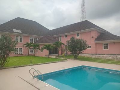 Luxury and Well Maintained 8 Bedroom Mansion, Asokoro District, Abuja, Detached Duplex for Rent