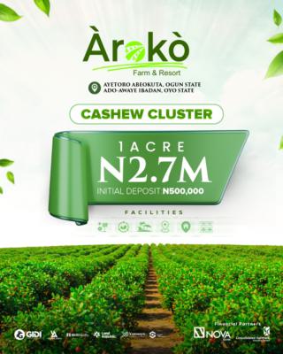 Aroko Farm & Resort Introductory, Abeokuta South, Ogun, Commercial Land for Sale