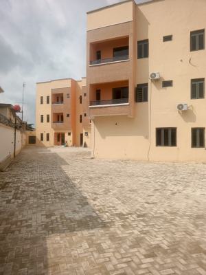 Newly 3 Bedroom Flat +gym+ Amenities, Inside Dideolu Estate Off Wempco Rd Ogba Ikeja, Ogba, Ikeja, Lagos, Flat / Apartment for Sale