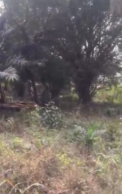 64000sqm Corner Piece Bare Land C of O Unexpired Lease 85 Years, Victoria Island (vi), Lagos, Mixed-use Land for Sale
