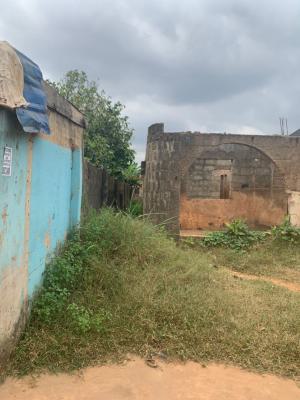 Half Plot, Ikola Road, Abule Egba, Agege, Lagos, Commercial Property for Sale