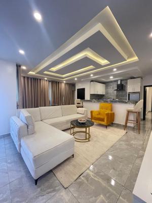 Newly Launched  3 Bedroom Luxury Apartment with Swimming Pool,elevator, Lekki Phase 1, Lekki, Lagos, Flat / Apartment Short Let