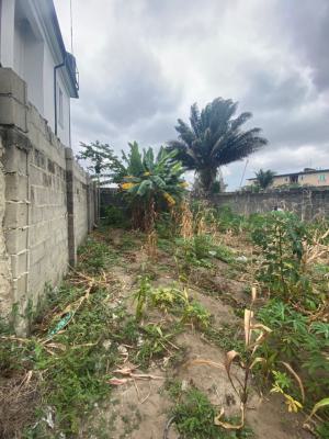 Half Plot in Build Up Area, Goodnews Extension, Sangotedo, Ajah, Lagos, Land for Sale