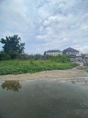 898sqm and 685sqm Plots of, Pearl Garden Estate, Sangotedo, Ajah, Lagos, Land for Sale