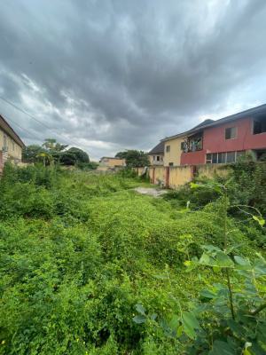 Land, Land Suitable for Residential and Thriving Businesses, Off Randle, Surulere, Lagos, Mixed-use Land for Sale