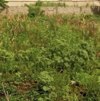 a Standard, Strategic Land, Oniru, Victoria Island (vi), Lagos, Mixed-use Land Joint Venture
