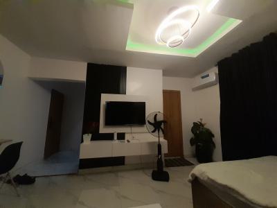 Studio Apartment Fully Luxury Furnished with Smart Tv and Netflix, Yaba, Lagos, Flat / Apartment Short Let