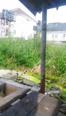a Standard, Stunning Land, Awolowo Rd, Ikoyi, Lagos, Mixed-use Land for Sale