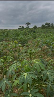 Acres of Farm. Land Investment and Earn Income, Lafenwa, Abeokuta North, Ogun, Industrial Land for Sale