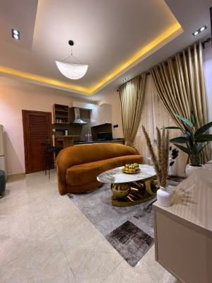 Luxury New One Bedroom with Excellent Features, Lekki Phase 1, Lekki, Lagos, Flat / Apartment Short Let