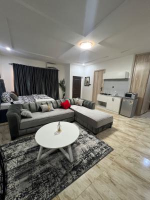 Stylish Furnished Masters Bedroom Fully Serviced Room, Royal Pine Estate Orchid Road, Lekki Phase 2, Lekki, Lagos, Self Contain (single Rooms) Short Let