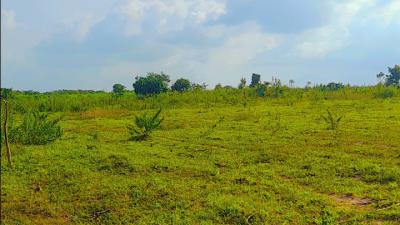 Plots and Acres of Land in Issele-mkpetime, Asaba, Issele-mkpetime, Asaba, Delta, Land for Sale