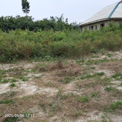 Verified Land in a Built Up Location, Diaspora City Phase 2 Ajebo Epe Lagos with Parameter Fencing, Epe, Lagos, Residential Land for Sale