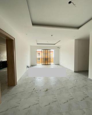 a Brand New 2 Bedroom with Swimming Pool and Gym in a Prime Location, Ikate, Lekki, Lagos, Flat / Apartment for Rent