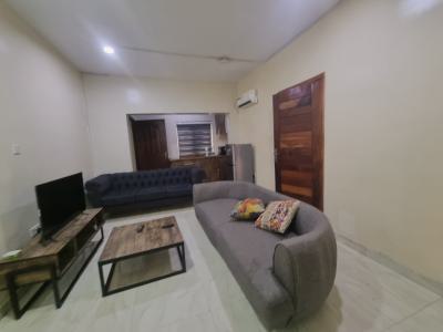 Luxury 2 Bedroom Fully Serviced Apartment, Off Oja Opebi, Ikeja, Lagos, House Short Let