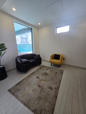 Exquisitely Finished Serviced 2-bedroom Flat -- Airbnb Goldmine, for Investors Looking for Their Most Lucrative Real Estate Investment., Ikate, Lekki, Lagos, Flat / Apartment for Sale