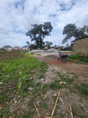 Flat Virgin Residential Land, Wike New Express Fish Market Life Camp, Life Camp, Abuja, Residential Land for Sale