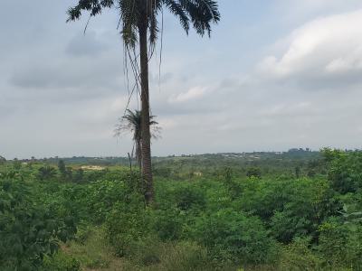 Available Dry Plots of Land, Clements Courts, Imota, Ikorodu, Lagos, Mixed-use Land for Sale