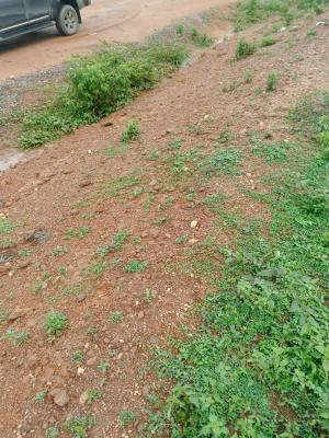 8 Hectares in Guzape 2, Abuja, Adjacent Gilmore Yard, Guzape 2, Guzape District, Abuja, Mixed-use Land for Sale