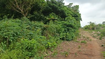 Full Plot of Dry Level Up Land in a Fast Developing Community, Ito Inside, Isiu, Ikorodu, Lagos, Residential Land for Sale