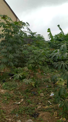 668 Sqm Land, Molekere Village Via Ugbaga, Sagamu, Ogun, Land for Sale