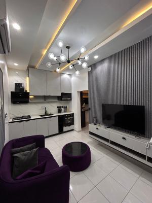 Plum Haven, One Bedroom *    Cozy 1 Bedroom Apartment with, Oniru, Victoria Island (vi), Lagos, Detached Duplex Short Let