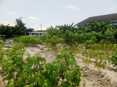100% Dry Land in a Strategic Location, Adeba Road, Lakowe, Ibeju Lekki, Lagos, Mixed-use Land for Sale