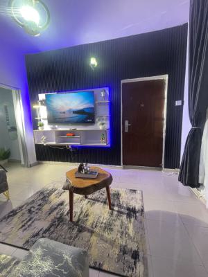 Tastefully 1 Bedroom Flat with Excellent Fittings, Aminu Kano Crescent, Wuse 2, Abuja, Mini Flat (room and Parlour) Short Let