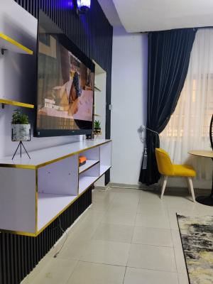 Newly Renovated 1 Bedroom /wuse 2 Aminu Kano/ Netflix + Wifi, Aminu Kano Crescent, Wuse 2, Abuja, Mini Flat (room and Parlour) Short Let