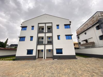 Stunning 4 Bedroom Semi Detached Duplex with Bq Available, Lekki Phase 1, Lekki Phase 1, Lekki, Lagos, Semi-detached Duplex for Rent