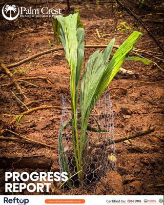 Acres of C of O Farmland with Free Cultivation and Management, Aiyetoro, Imeko Afon, Ogun, Commercial Land for Sale