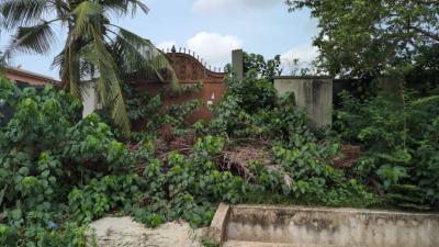 Full Plot of Land, Surulere, Lagos, Residential Land for Sale