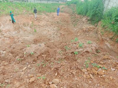 Bedroom Terrace Duplex, Old Bodija, Ibadan, Oyo, Residential Land for Sale