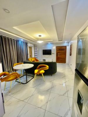 Luxury 2 Bedroom Serviced Apartment, Ikate Lekki, Lekki, Lagos, Flat / Apartment for Rent
