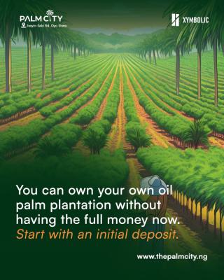 Affordable Farmland with C of O at Agurenge, Iseyin-saki Road, Oyo Sta, Iseyin-saki Road, Oyo, Ibadan, Oyo, Commercial Land for Sale