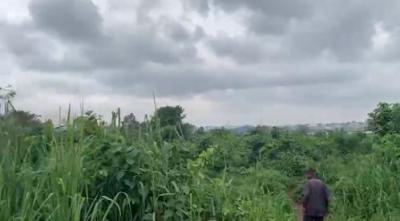 Industrial Land in Government Industrial Scheme, Odongunyan, Ikorodu, Lagos, Industrial Land for Sale