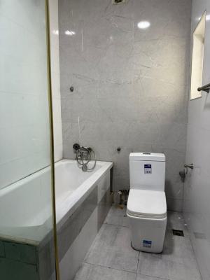 2 Bedrooms Flat, Banana Island Ikoyi, Ikoyi, Lagos, Flat / Apartment for Rent
