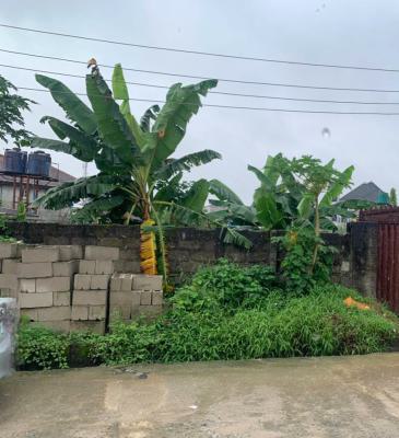 Prime 2 Plots of Land, Gra Phase 8, Eliozu, Port Harcourt, Rivers, Residential Land for Sale