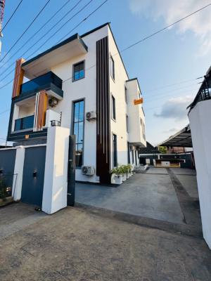 Extremely Luxury 4 Bedroom Fully Detached Duplex with Luxurious Ideal, Igando, Ikotun, Lagos, Detached Duplex for Sale