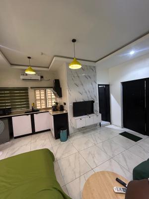 Emerald Saffron Studio Available From Today* Book This Spacious Room, Oniru, Oniru, Victoria Island (vi), Lagos, Detached Duplex Short Let
