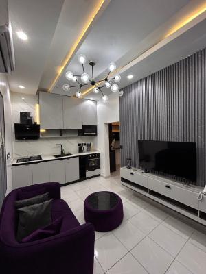 Cozy 1 Bedroom Apartment-plum Haven with Pool,gym Lots More, Vi, Oniru, Victoria Island (vi), Lagos, Detached Duplex Short Let