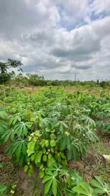 Own a Fertile Farmland ,earn From Agriculture Without Lifting a Finger, Buy 5 Plots, Get 1 Plot Free, Flexible Payment Plan Available, Abeokuta South, Ogun, Mixed-use Land for Sale