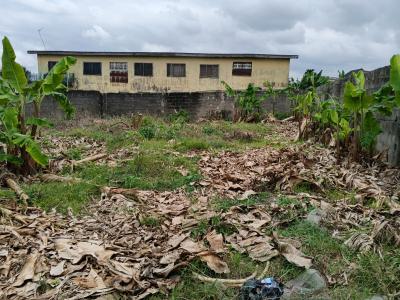 More Than Half Plot of Land Fence Gate Close to The Road at Ikola Comm, Ikola Command Lagos, Ipaja, Lagos, Mixed-use Land for Sale