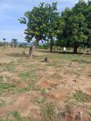 4 Bedroom Semi Detached Duplex + Bq, Ridge City Guzape, Guzape District, Abuja, Mixed-use Land for Sale