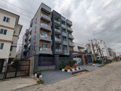 Stylish Brand New 2 Bed Flat with Elevator, Pool & Gym, Spar Road, Adjacent Nicon Town, Ikate, Lekki, Lagos, Flat / Apartment for Sale
