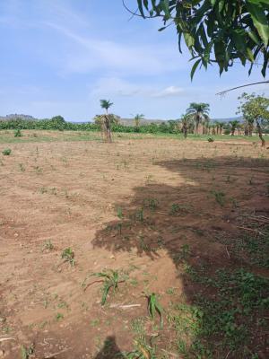 4 Bedroom Detached Duplex+bq, Ridge City Guzape, Guzape District, Abuja, Mixed-use Land for Sale